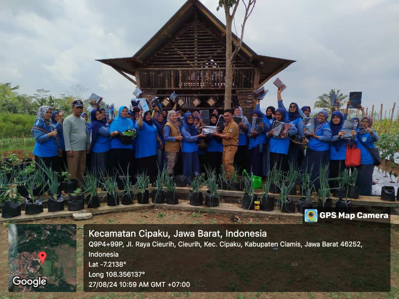 Sekolah lapangan, kelompok wanita tani "BERKAH" Desa cieurih, cipaku, ciamis 2024